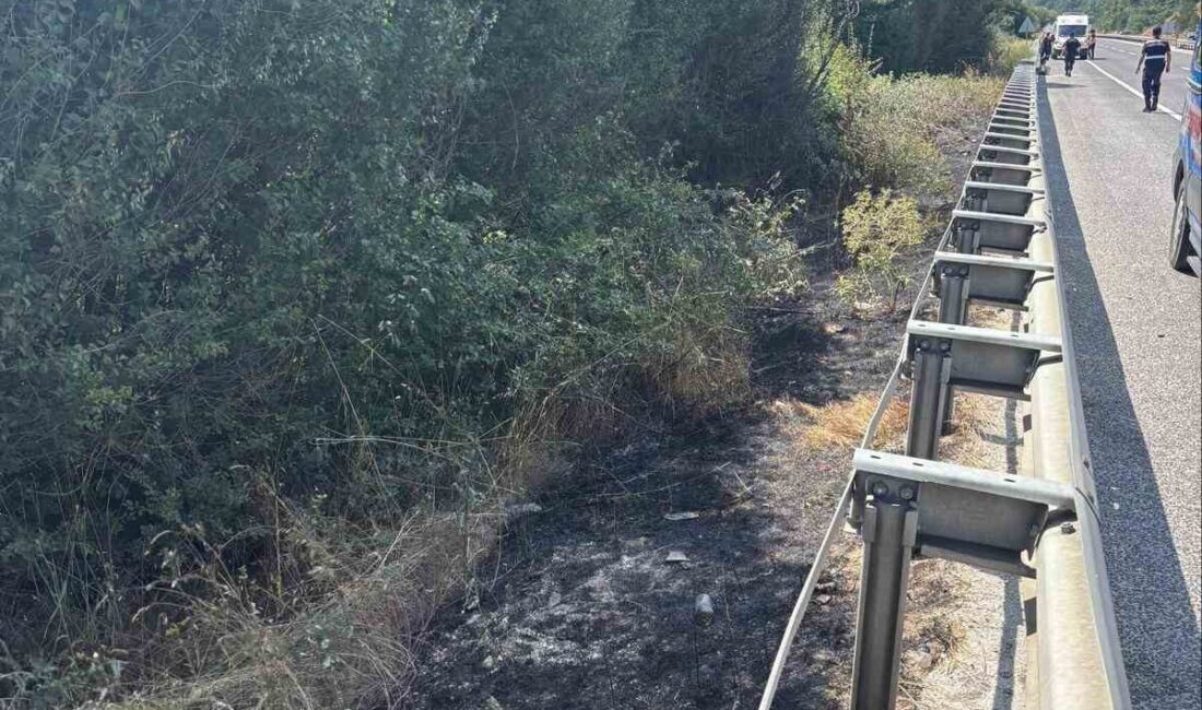 Bilecik’in Bozüyük ilçesine bağlı Aksutekke Köyü mevkiinde meydana gelen yangın,