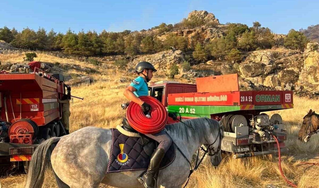 Pamukkale ilçesinde bulunan travertenler yakınlarında meydana gelen orman yangınında, araçların