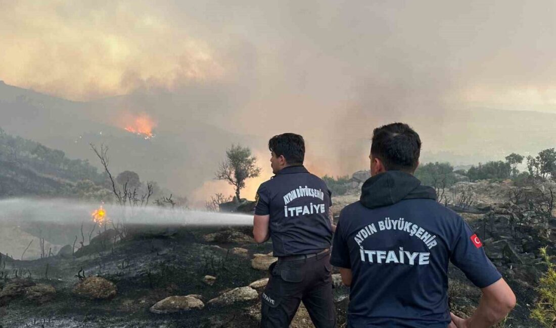 Aydın Büyükşehir Belediyesi İtfaiye Daire Başkanlığı ekipleri, Aydın genelinde meydana