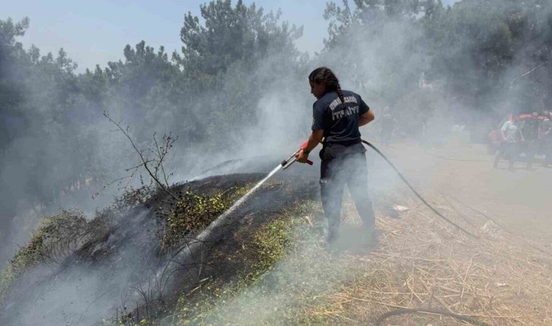 Aydın Büyükşehir Belediyesi İtfaiye Daire Başkanlığı ekipleri, 19 Temmuz-27 Temmuz