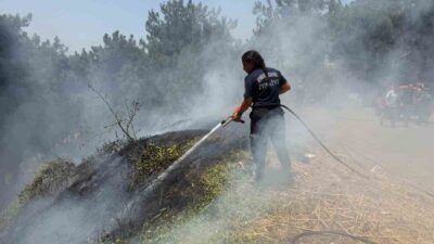 Aydın Büyükşehir Belediyesi İtfaiye Daire Başkanlığı ekipleri, 19 Temmuz-27 Temmuz