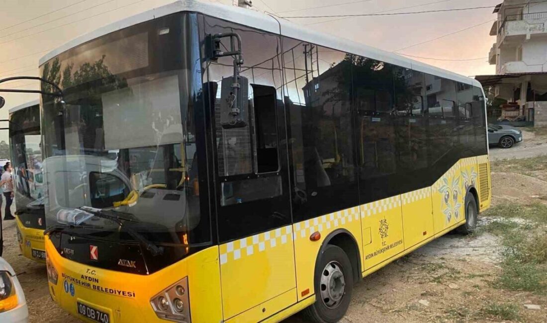 Aydın’ın Çine ilçesine bağlı Kavşit Mahallesi’nde çıkan orman yangınına hem