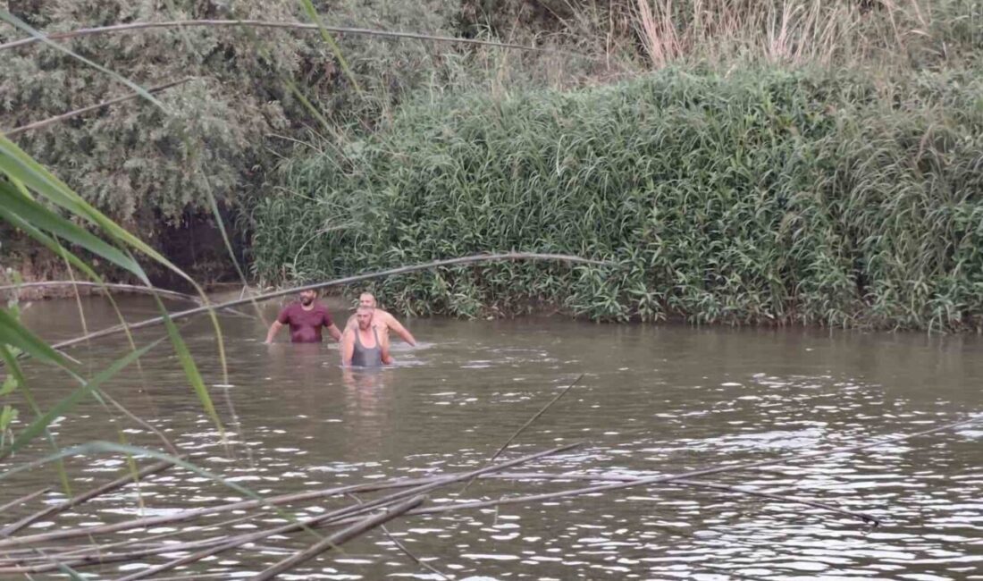 Aydın’ın İncirliova ilçesinde, Büyük Menderes Nehri’nde serinlemek amacıyla suya giren