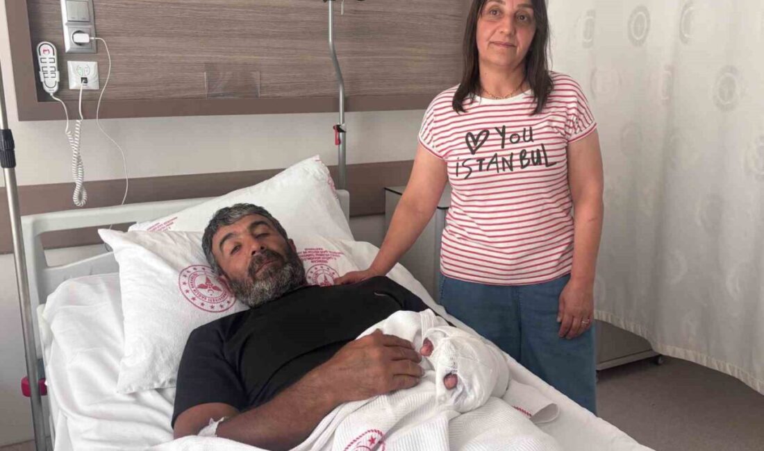 Erzincan’ın Tercan ilçesine bağlı Bağpınar köyünde ayçiçeği tarlasını sularken ayı