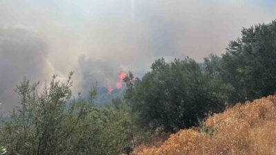 Çanakkale’nin Ayvacık ilçesinde bir arazide başlayan yangın ormanlık alana sıçradı.