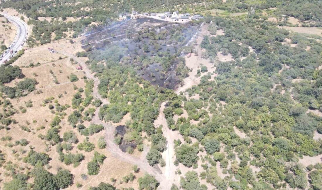 Çanakkale’ye bağlı Ayvacık ilçesinin Büyükhusun köyü civarında, bugün öğleden sonra