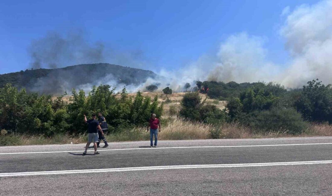 Çanakkale’nin Ayvacık ilçesinde, Büyükhusun köyü yakınlarındaki orman yangını kontrol altına