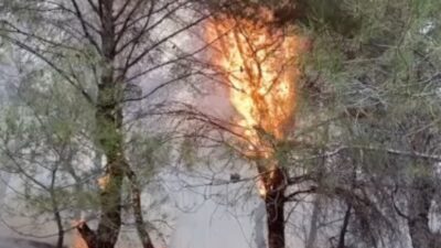 Ayvalık ilçesine bağlı Çamoba Mahallesi’nde meydana gelen orman yangını, Orman