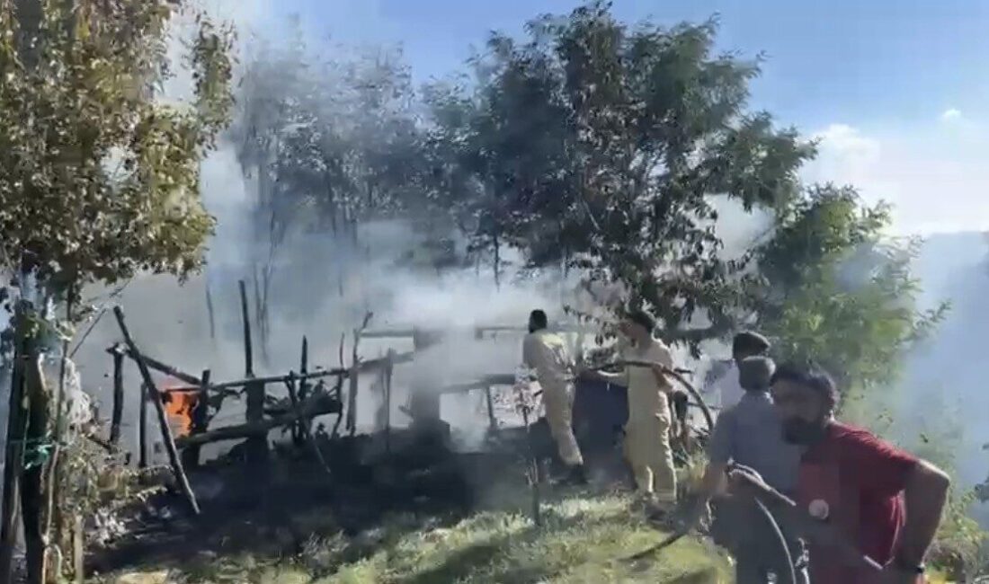 Bingöl’ün Genç ilçesinde Cumhuriyet Mahallesi’nde meydana gelen bir bahçe yangını,