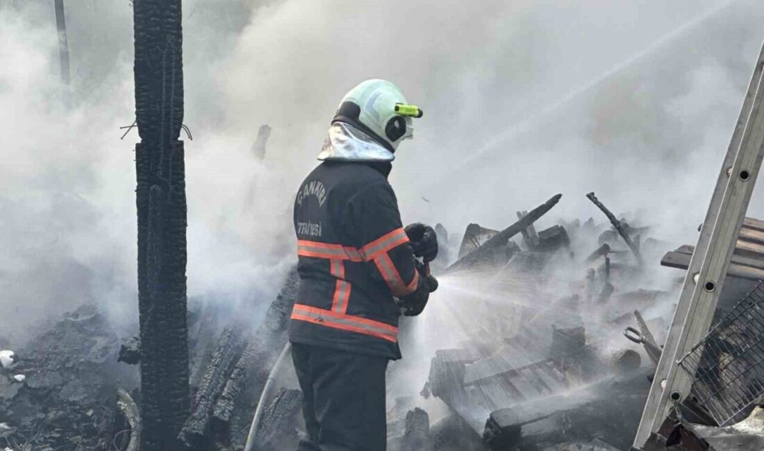 Çankırı’da, Kırkevler Mahallesi’nde bulunan bir müstakil evin bahçesinde çıkan yangın,