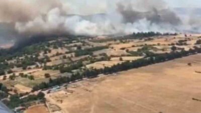 Balıkesir’de Altıeylül ilçesinin kırsal kesiminde çıkan ve ardından ormana sıçrayan