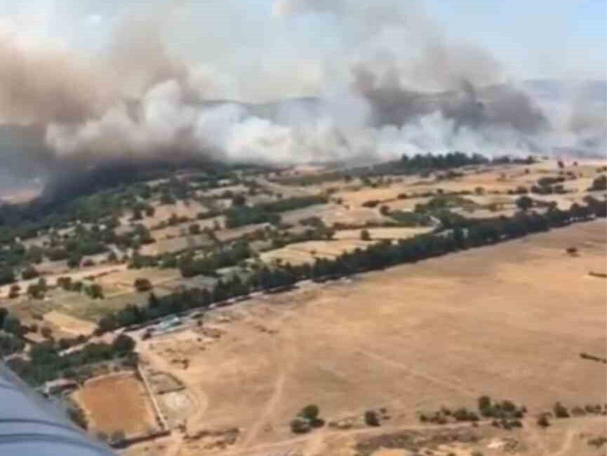 Balıkesir’de Altıeylül ilçesinin kırsal kesiminde çıkan ve ardından ormana sıçrayan