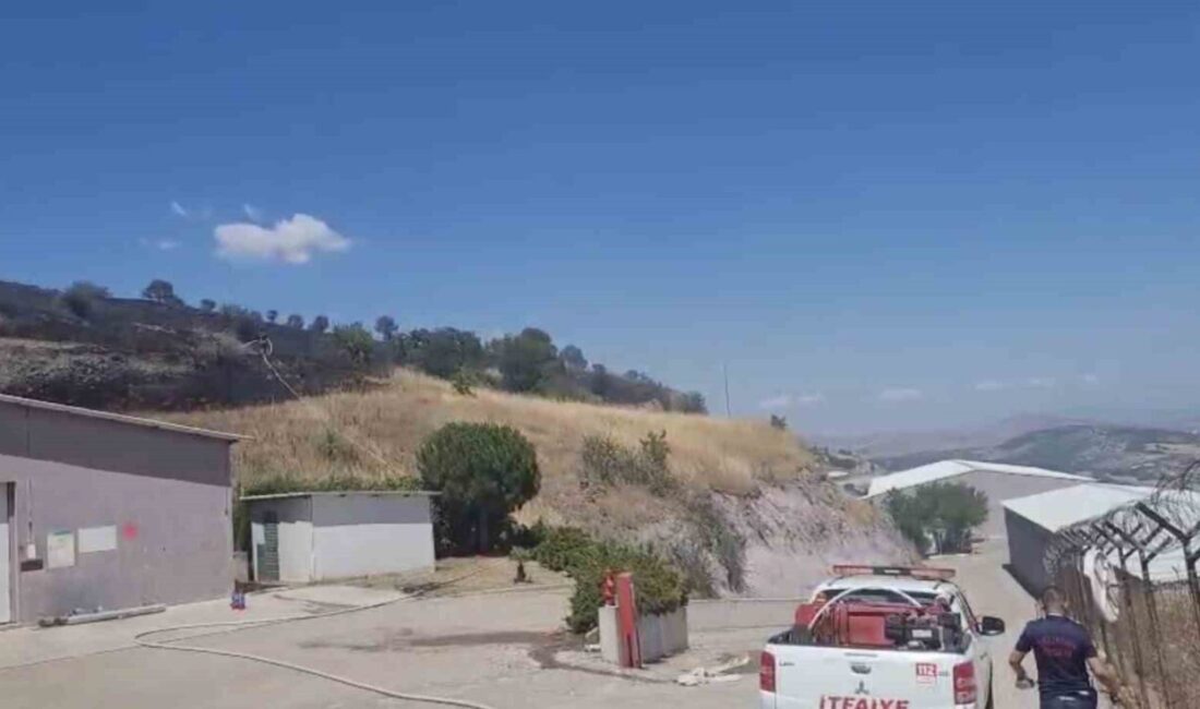 Balıkesir’de dün çıkan arazi ve orman yangınlarıyla tüm gün boyunca