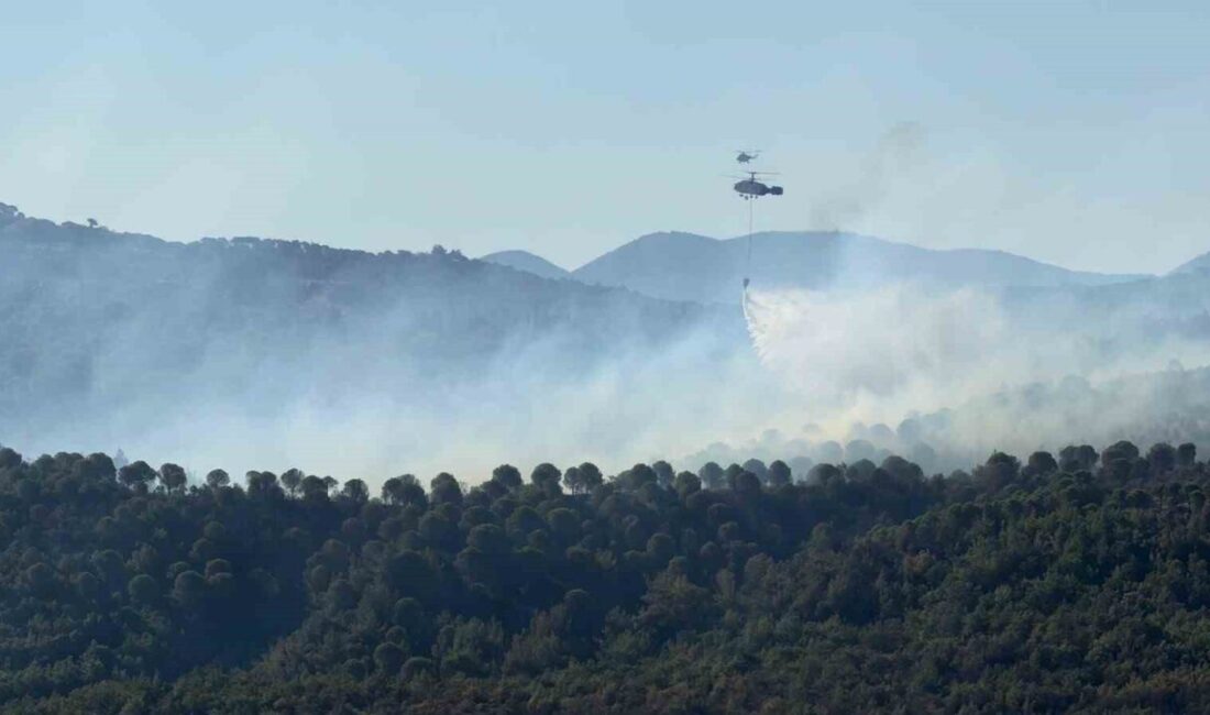 Balıkesir’in Gömeç ilçesinde üç gün önce başlayan orman yangını halen