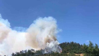 Balıkesir’in Kepsut ilçesinde, Sarıfakılar Mahallesi yakınlarında arazide çıkan yangın, ormanlık