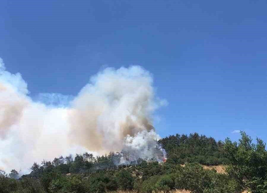 Balıkesir’in Kepsut ilçesinde, Sarıfakılar Mahallesi yakınlarında arazide çıkan yangın, ormanlık
