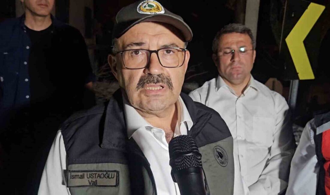 Balıkesir Valisi İsmail Ustaoğlu, Tıfıllar Mahallesi’nde meydana gelen yangınla ilgili