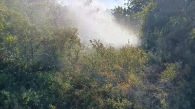 Balıkesir’de dün, tarım alanlarında meydana gelen 5 ayrı yangına orman