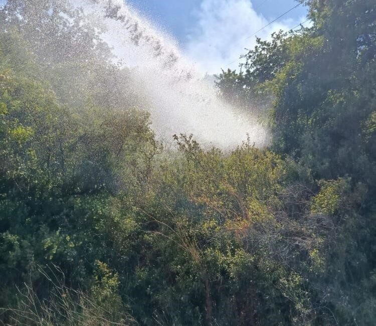 Balıkesir’de dün, tarım alanlarında meydana gelen 5 ayrı yangına orman
