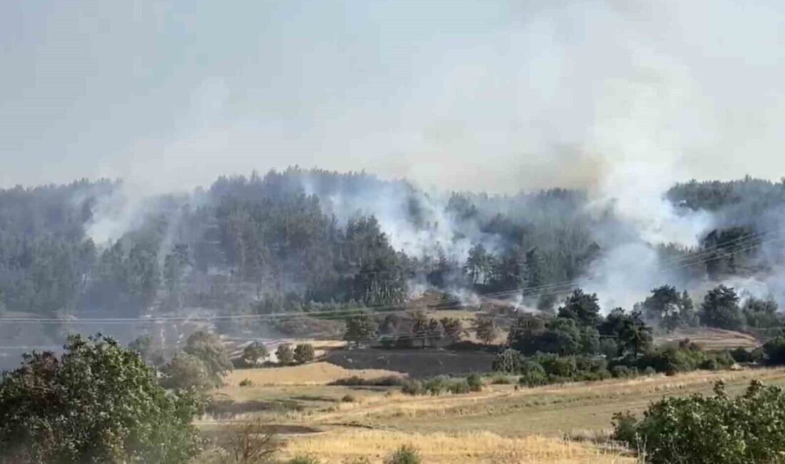 Balıkesir’in Altıeylül ilçesindeki kırsal alanda başlayan ve ardından ormana geçen