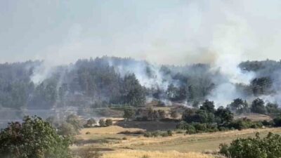 Balıkesir’in Altıeylül ilçesindeki kırsal alanda başlayan ve ardından ormana geçen