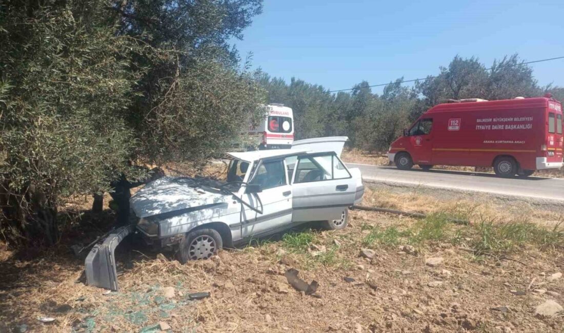 Balıkesir’in Havran ilçesinde, bir zeytin ağacına çarpan araçta bulunan 2