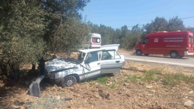 Balıkesir’in Havran ilçesinde, bir zeytin ağacına çarpan araçta bulunan 2