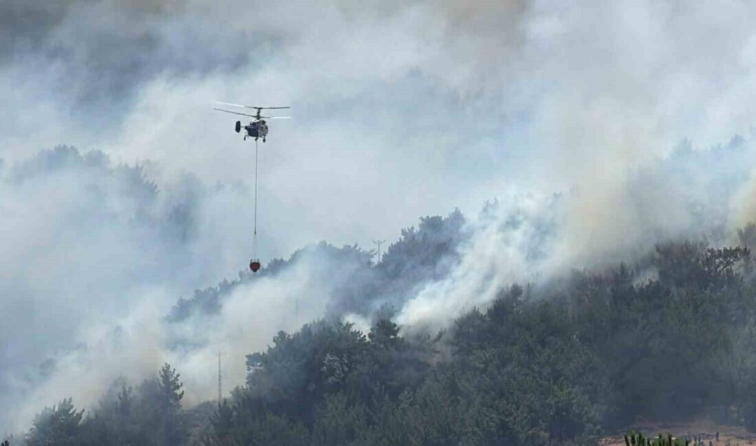 Balıkesir’de geçtiğimiz 3 gün içerisinde kırsal alanda çıkan arazi ve