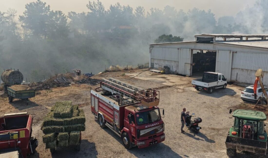 Balıkesir’de üç ayrı noktada başlayan yangınlara Balıkesir Büyükşehir Belediyesi İtfaiye