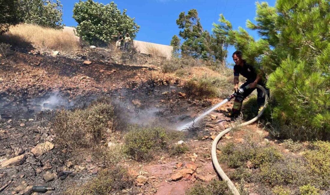 Burhaniye ilçesinde çıkan anız yangını, yetkililerin hızlı müdahalesi sayesinde kontrol