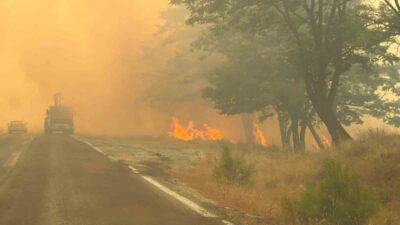 Balıkesir’in Ayvalık ve Gömeç ilçelerinde başlayan orman yangını, rüzgarın etkisiyle