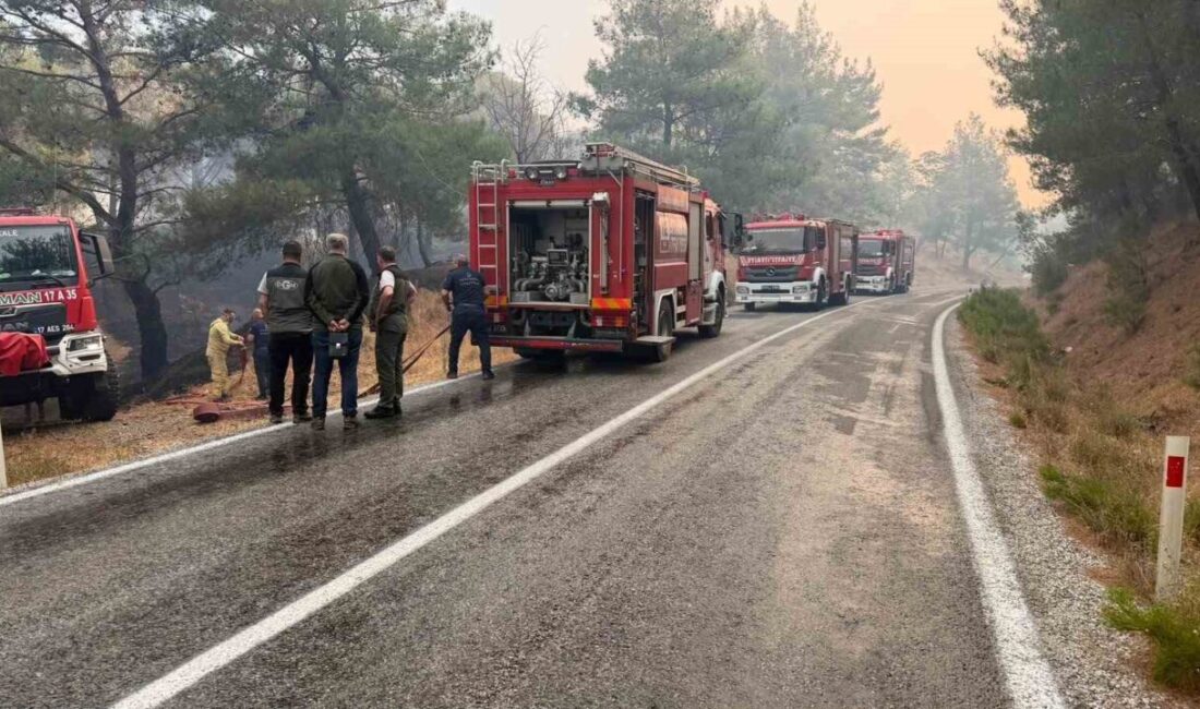 Balıkesir’in Gömeç ilçesinde başlayan orman yangını, rüzgarın etkisiyle Ayvalık ilçesi