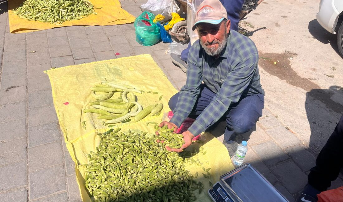 Yerköy ilçesine bağlı köylerde yerli üreticilerin binbir emekle yetiştirdiği doğal