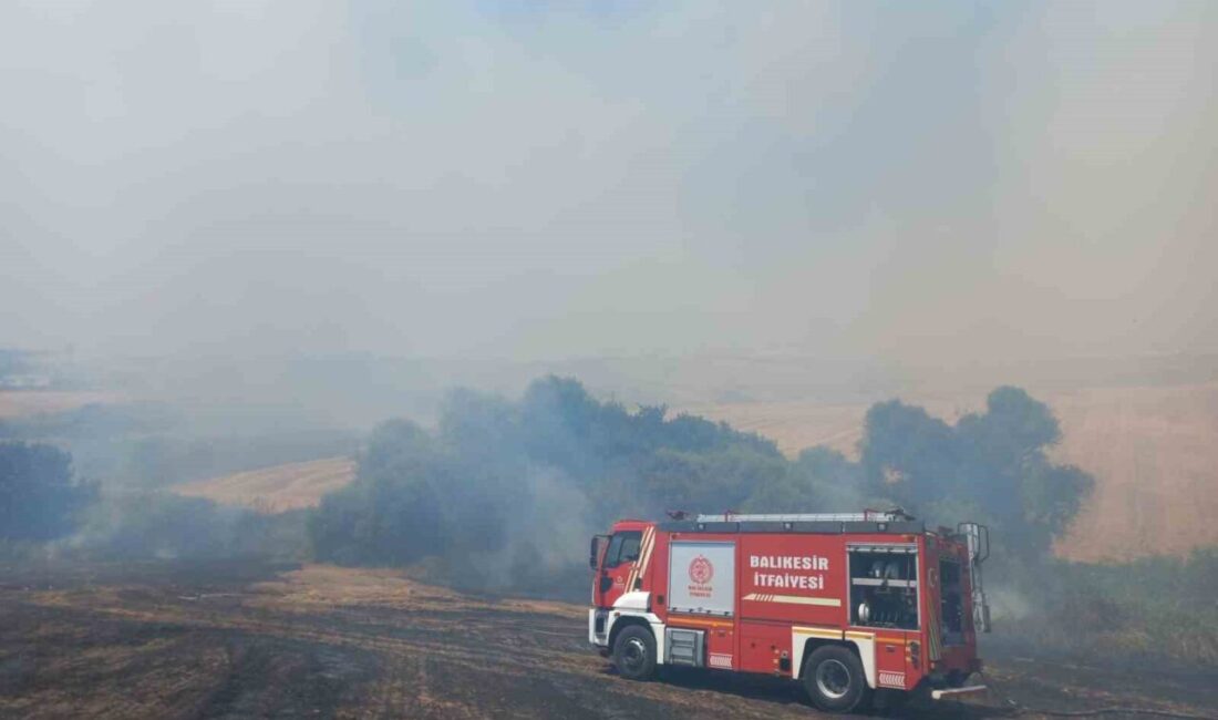 Balıkesir’in Bandırma ilçesinde rüzgarın etkisiyle büyüyerek 4 farklı noktadan başlayan