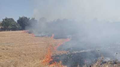 Balıkesir’in Bandırma ilçesinde anız ve çalılık alanda meydana gelen yangın,