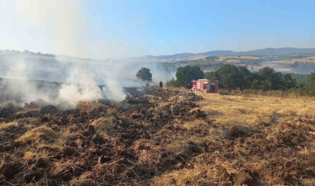 Balıkesir’in Bandırma ilçesinde, rüzgarın etkisiyle büyüyen arazi ve buğday tarlası