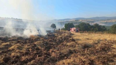 Balıkesir’in Bandırma ilçesinde, rüzgarın etkisiyle büyüyen arazi ve buğday tarlası