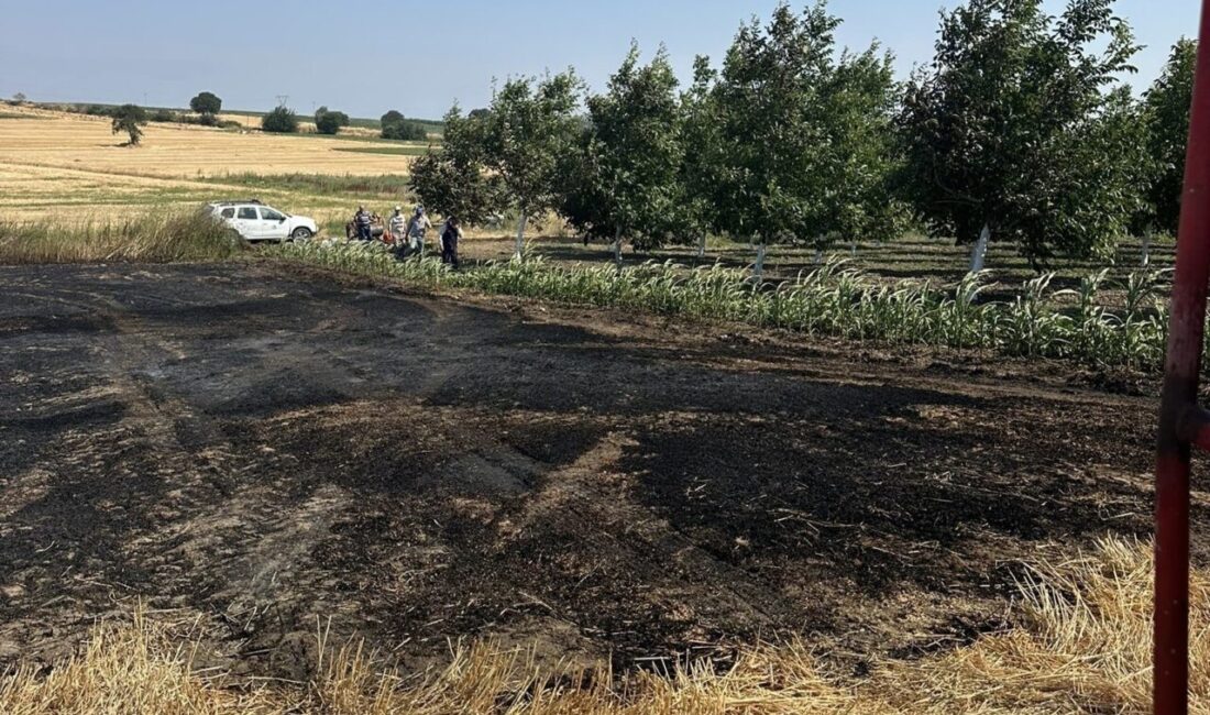 Bandırma ilçesinde meydana gelen anız yangını, itfaiye ekiplerinin hızlı müdahalesi