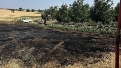 Bandırma ilçesinde meydana gelen anız yangını, itfaiye ekiplerinin hızlı müdahalesi