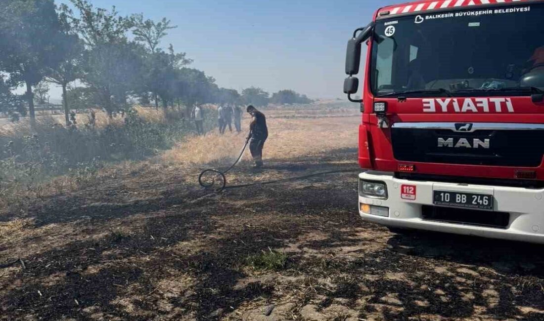 Bandırma ilçesine bağlı bir kırsal alanda meydana gelen yangın, itfaiye
