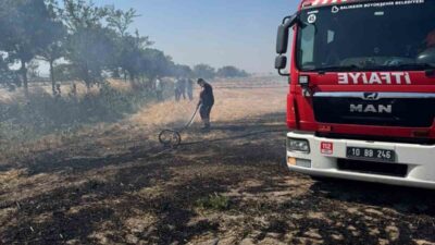 Bandırma ilçesine bağlı bir kırsal alanda meydana gelen yangın, itfaiye