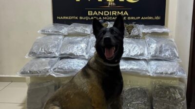 Bandırma ilçesinde narkotik ekipleri tarafından gerçekleştirilen operasyonda, narkotik arama köpeği