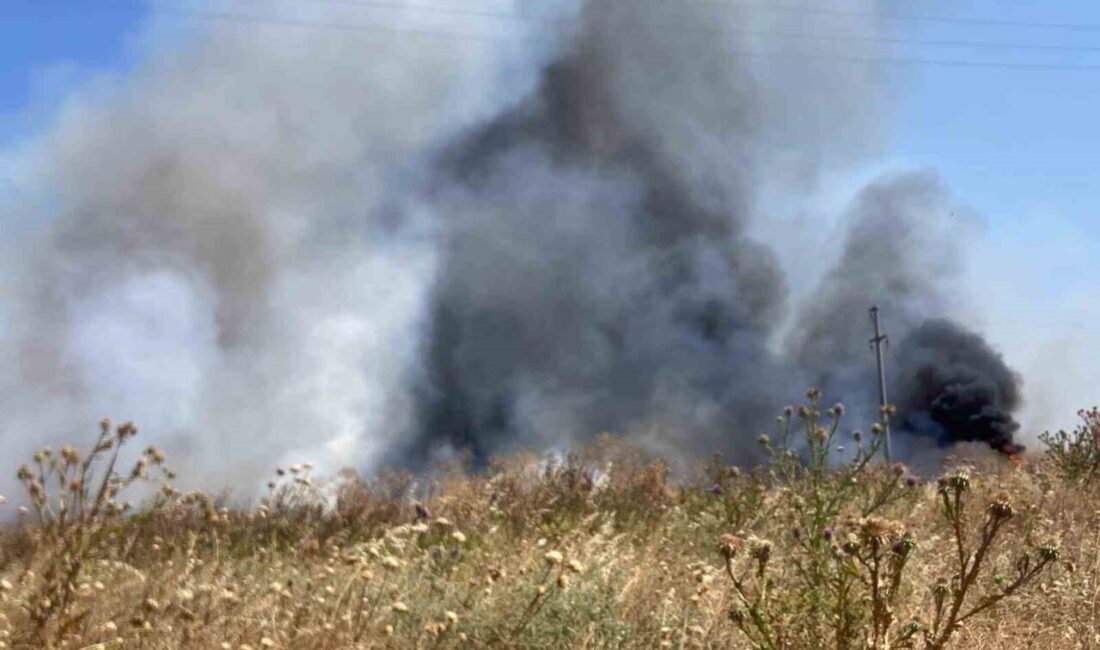 Balıkesir’in Bandırma ilçesine bağlı Doğa Mahallesi kırsalında bulunan otluk alanda