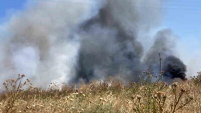 Balıkesir’in Bandırma ilçesine bağlı Doğa Mahallesi kırsalında bulunan otluk alanda