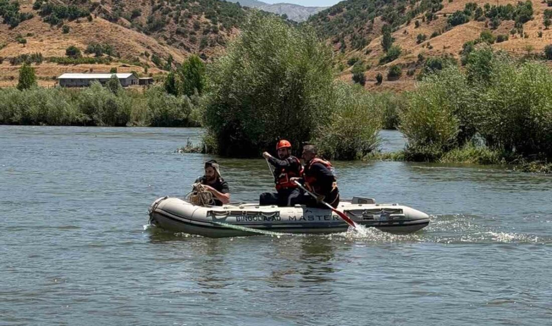 Bingöl’ün Genç ilçesinde, Murat Nehri kıyısında piknik yapan bir kişi,