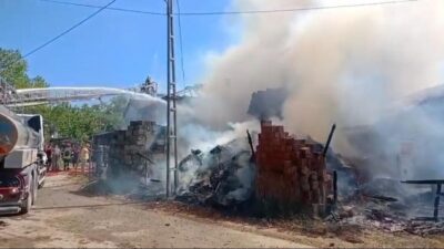 Bartın’da, hissedilen sıcaklığın 41 dereceye ulaştığı bir günde, Akağaç köyünde