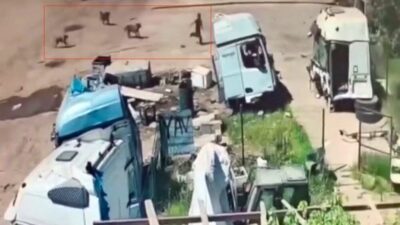 Silopi ilçesine bağlı Cumhuriyet Mahallesi’nde meydana gelen olayda, başıboş sokak