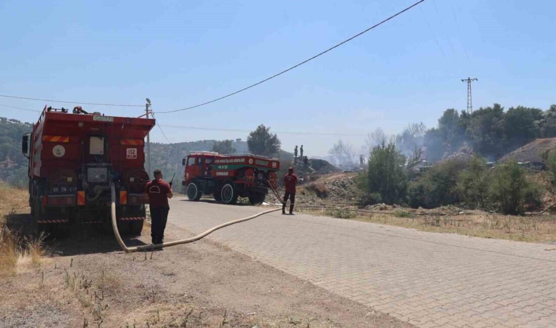 Koçarlı ilçesindeki bir zeytinlik alanda çıkan yangın, karadan ve havadan