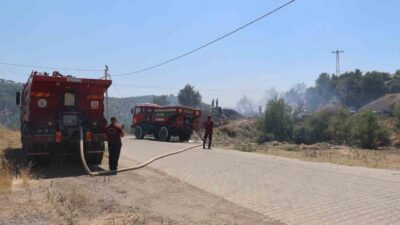 Koçarlı ilçesindeki bir zeytinlik alanda çıkan yangın, karadan ve havadan