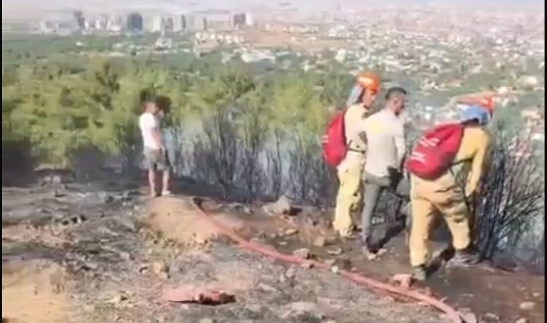 Denizli’nin Merkezefendi ilçesine bağlı Başkarçı Mahallesi’nde bulunan Başkarçı Dağı’nda orman